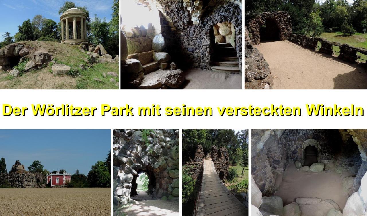 Die Ferienwohnung - Wittenberg An Den Elbwiesen Kültér fotó