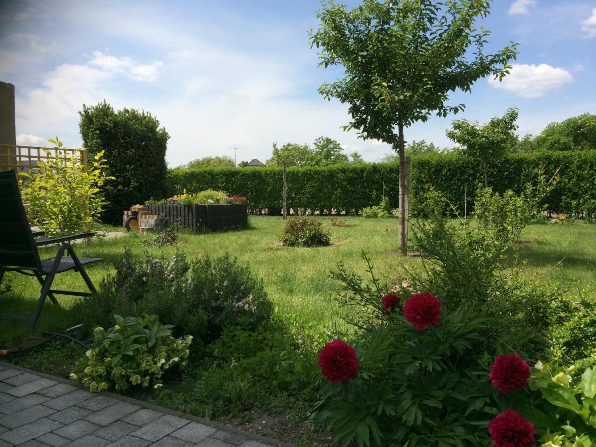Die Ferienwohnung - Wittenberg An Den Elbwiesen Kültér fotó