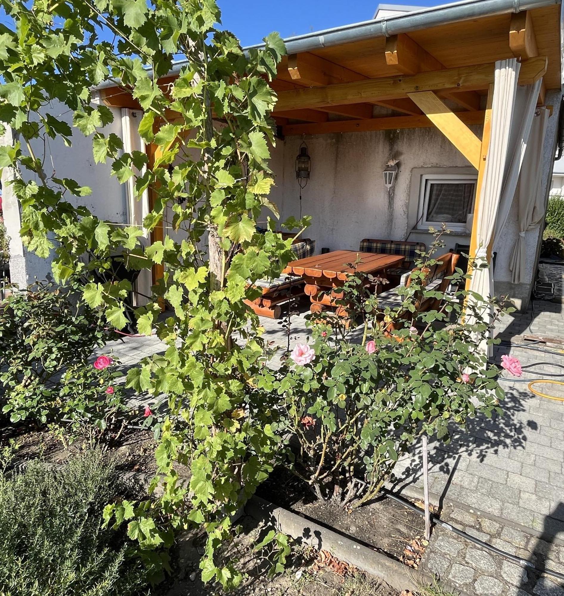 Die Ferienwohnung - Wittenberg An Den Elbwiesen Kültér fotó